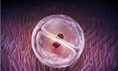 胚胎小是什么原因？胚胎在早期偏小是什么原因？